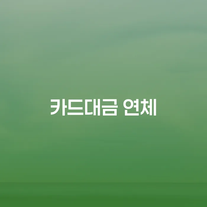 다중채무자 연체 시 연체 채무 신속해결방법 절차 이해해야