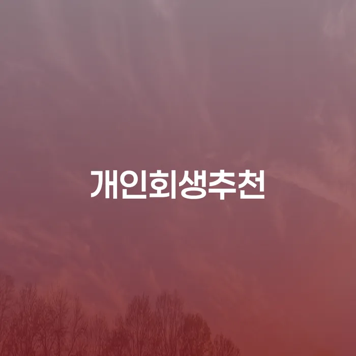 개인회생 최근대출 도박 개인회생으로 해결 추천하는 법률사무소