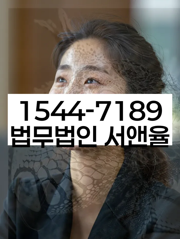 개인회생개시결정