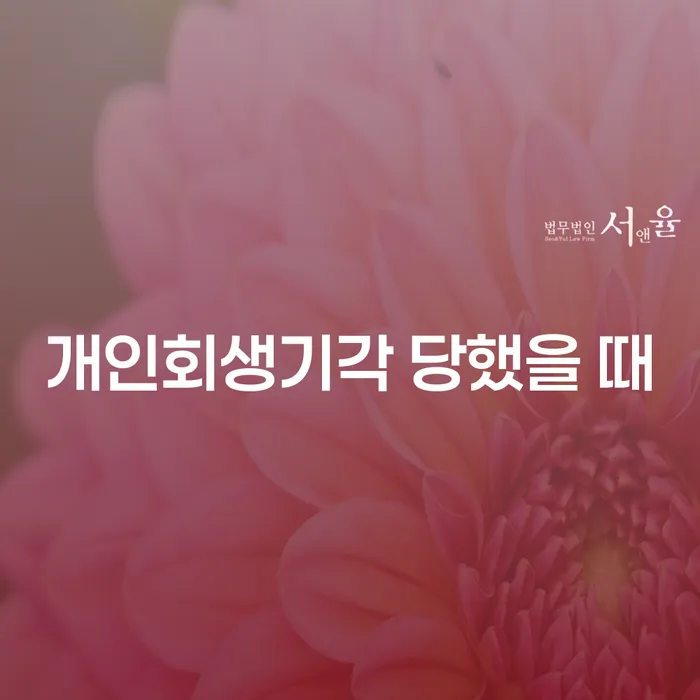 개인회생파산신청 개인회생으로 현명하게 성향에