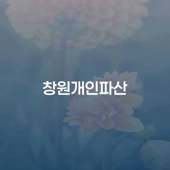 개인회생전문변호사 채무조정제도을 이용하여 성향에