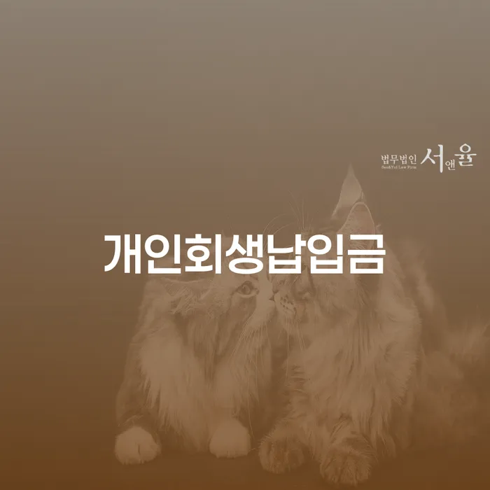 파산면책기간 빚 합법적인 빠른방법 잘신청하기