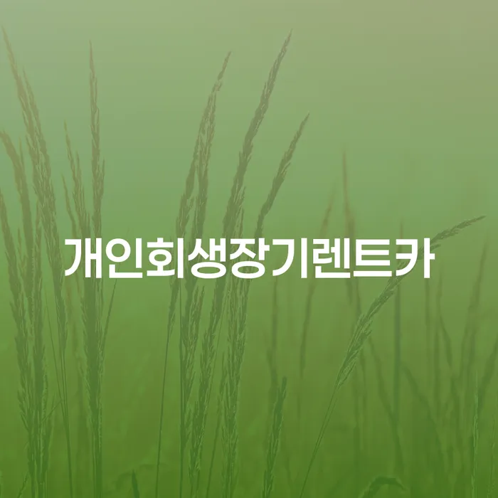 담양군 개인회생필요서류 추심 대응법 추전하는 사무소
