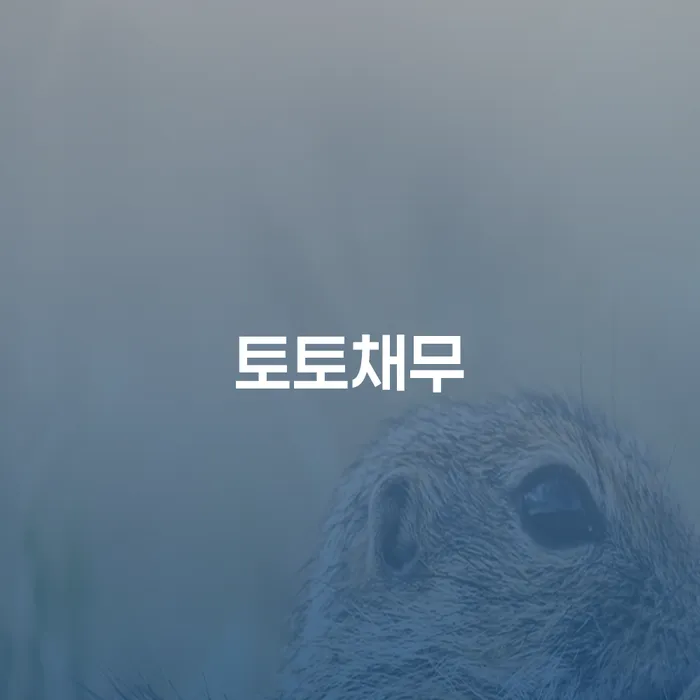 무안군 개인파산신청 개인회생으로 방법 해결 할 수 있을까?