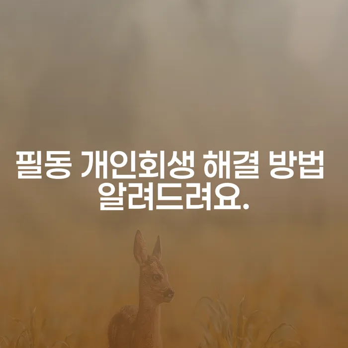 필동 개인회생 해결 방법 알려드려요.