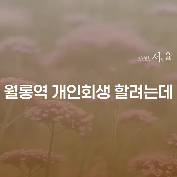 월롱역 개인회생 할려는데